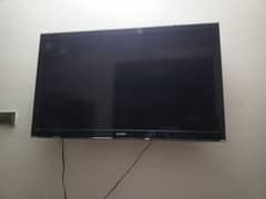 Sony TV (LCD)