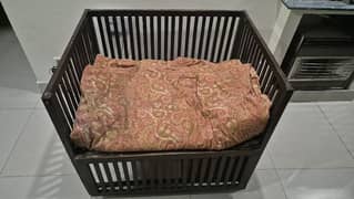 Kids Cot for sale