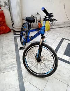 24 inch mountain bike