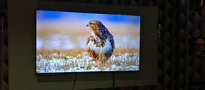 Tcl 55 inch Ultra HD 4k