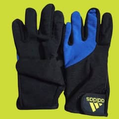 gloves cricket