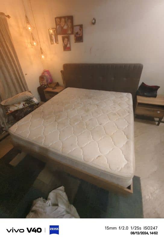 molty foam matress 1