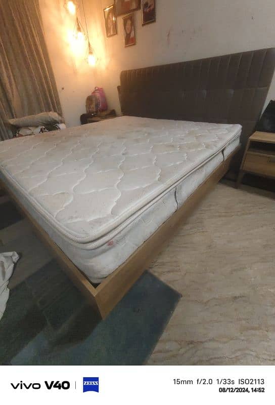 molty foam matress 2