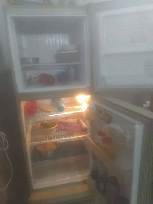 pel fridge 3