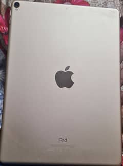 Apple  ipad