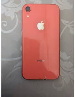 iPhone XR