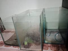 Aquarium for Sale