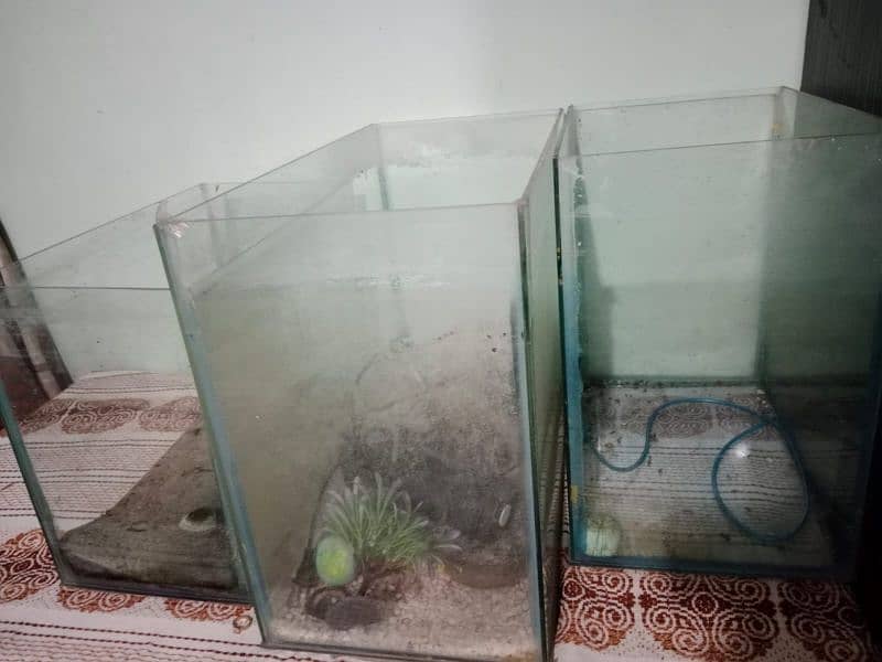 Aquarium for Sale 1