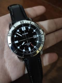 Casio Standard Watch