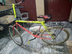 PHOENIX Bicycle *Urgent Sale