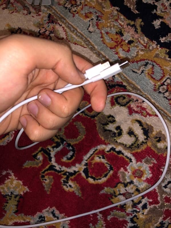 IPhone charger 1