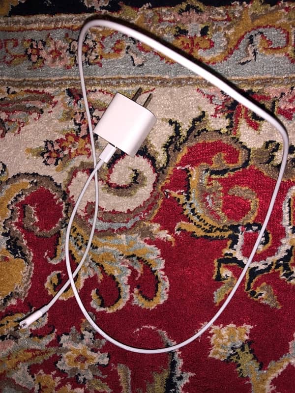 IPhone charger 2