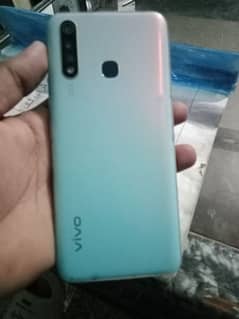 Vivo