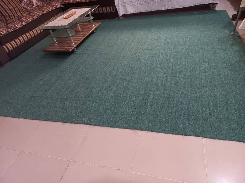 green colour carpet 2