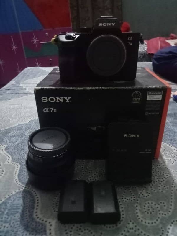 sony A73 10