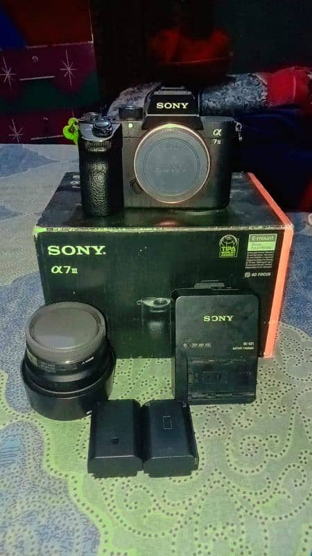 sony A73 11