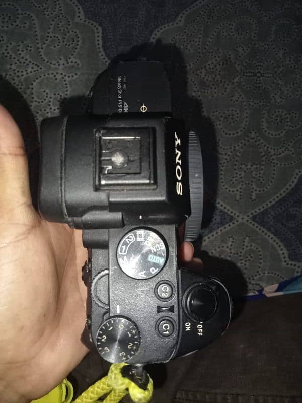 sony A73 14