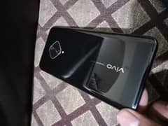 vivo