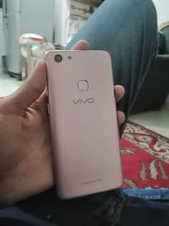 vivo hai