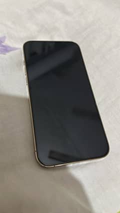 Iphone 12 Pro Max 256Gb