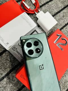 OnePlus 12 NonPta