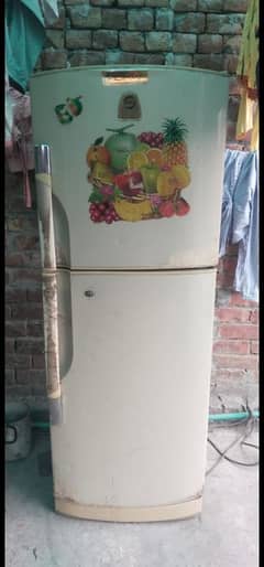 fridge