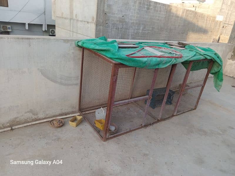 big hens cage for sale 3