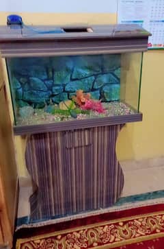 Beautiful just New Aquarium