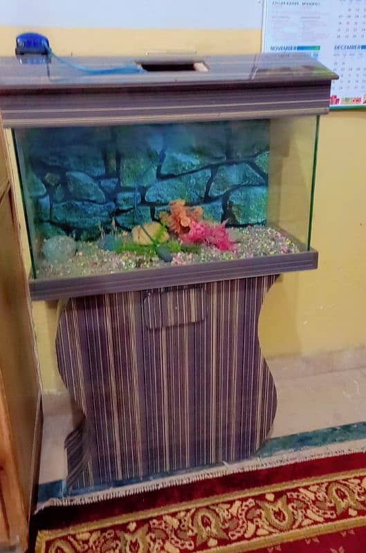 Beautiful just New Aquarium 0