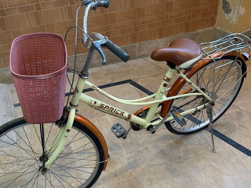 Japanese  bicycle 1