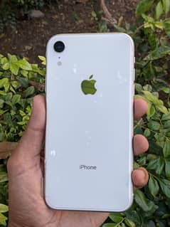 iphone xr all ok