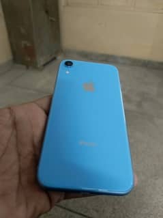 Iphone XR 64 GB (JV)  86 BH