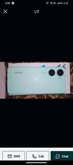 vivo