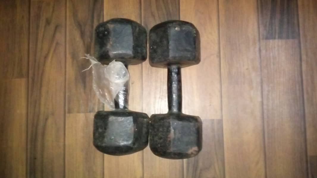 Iron dumbbell 1