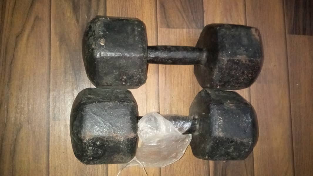 Iron dumbbell 2