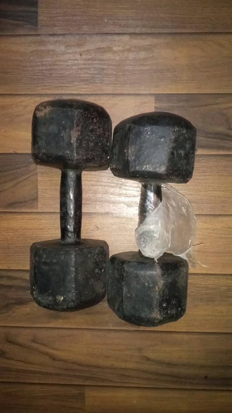 Iron dumbbell 4