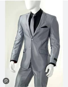 silver Gray 2 piece suit