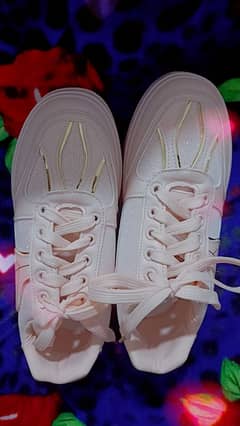 Brand New Fancy Sneakers/Women Sneakers/Girls Sneakers