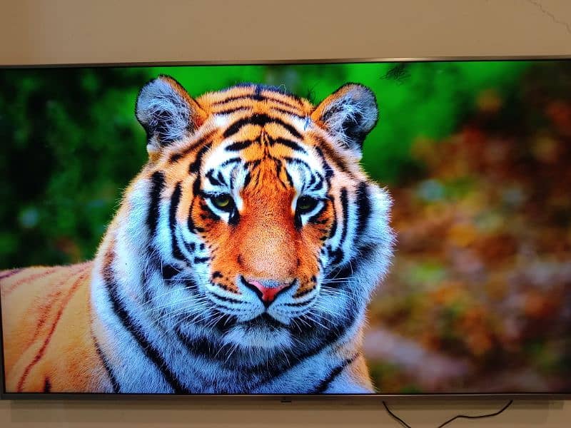 Samsung qled tv 12