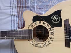 SwiftHorse brand new professional guitar