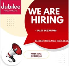 Sales Executive