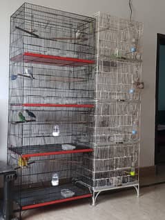 bird cages in cheap price