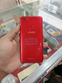 vivo