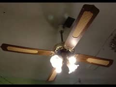 Majestic Deluxe Fan