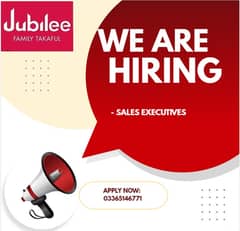 Sales Executive