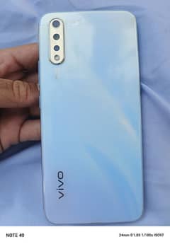 Vivo