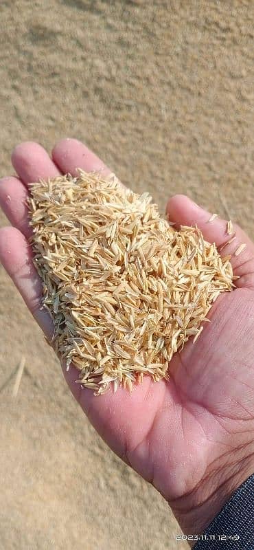 Chawal ka Chilka Rice Husk Delivery All Pakistan 0