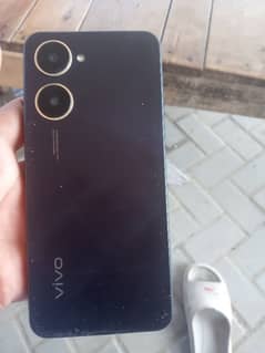 vivo