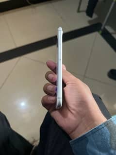 i phone 7