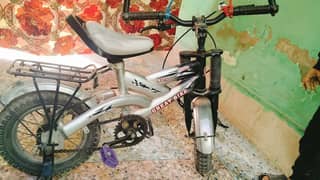 choti or bari irani bicycles